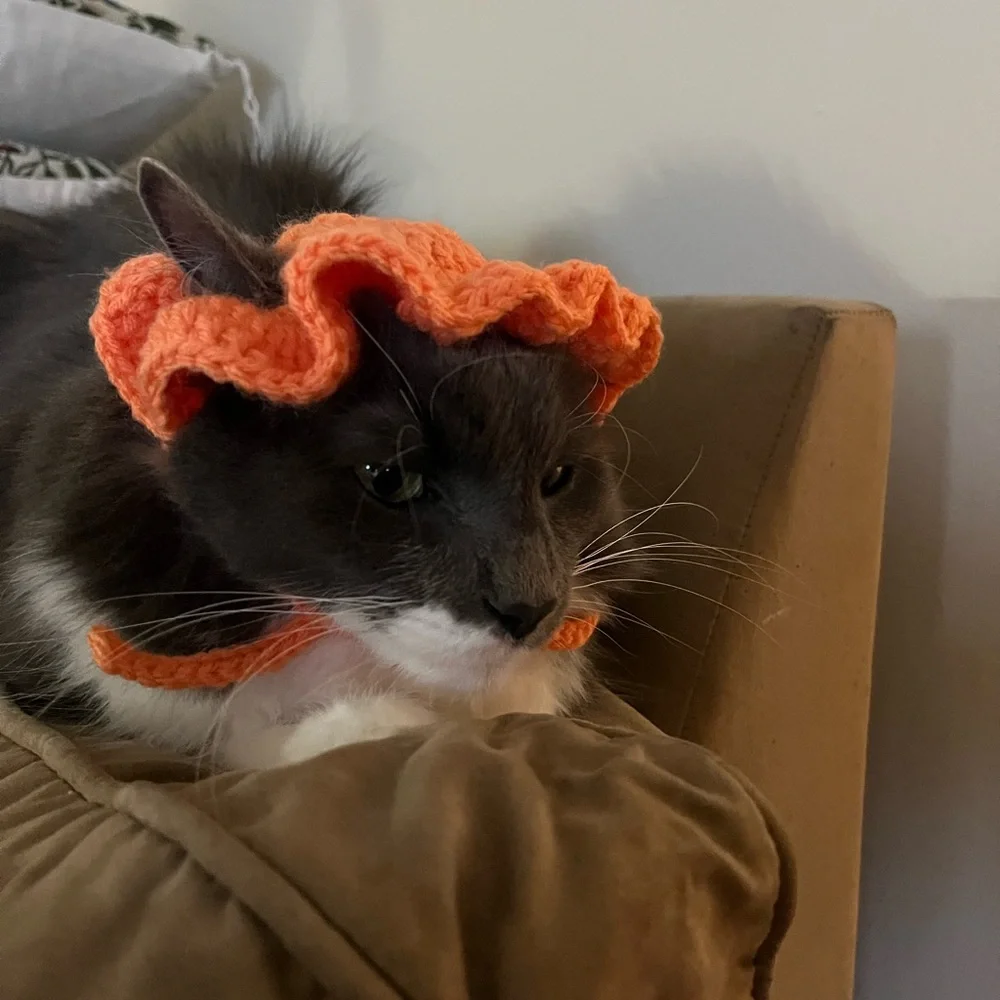HANDMADE cat bonet bucket hat for cats cat accessories